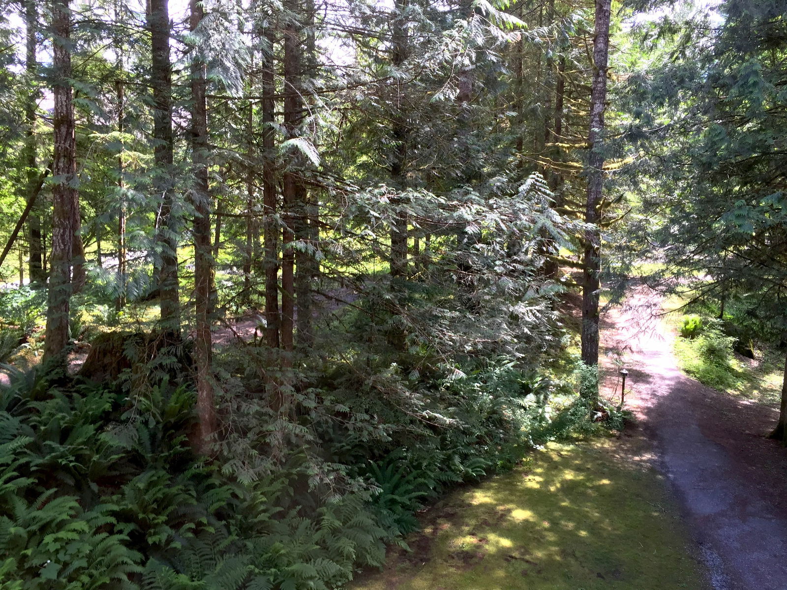 Logement Entier Deming 173203