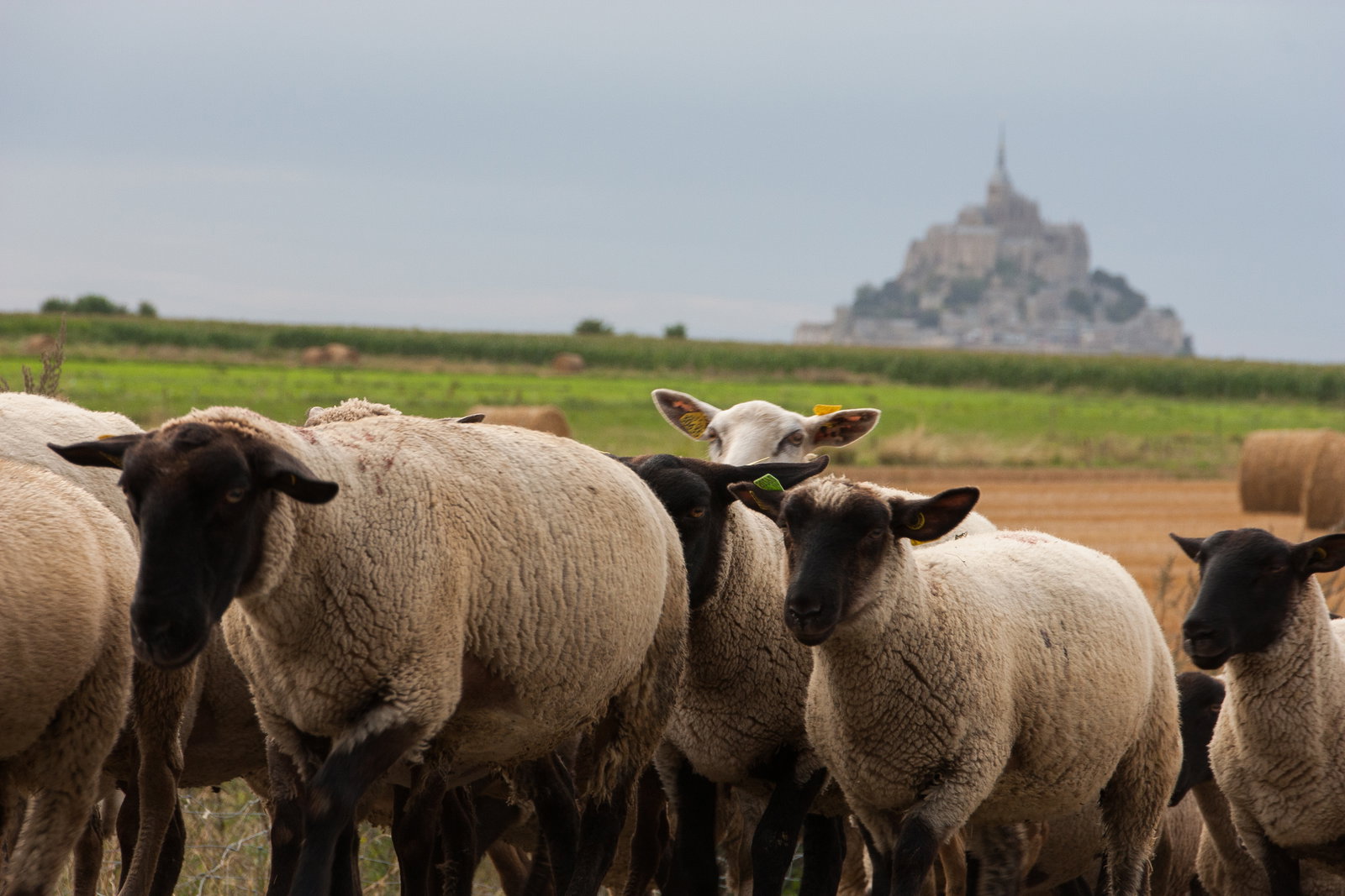 Camere Per Gli Ospiti Huisnes-sur-Mer 64174