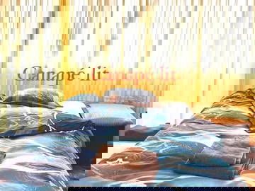 Logement Entier Monthey 207546-4