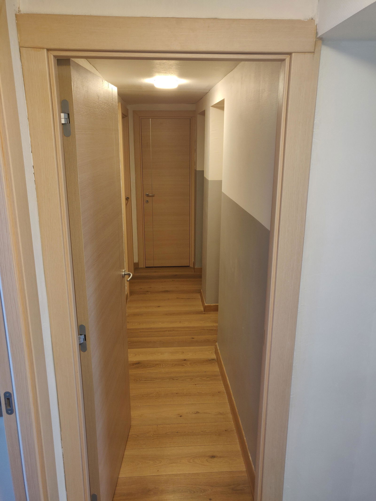 Colocation Montpellier 263746