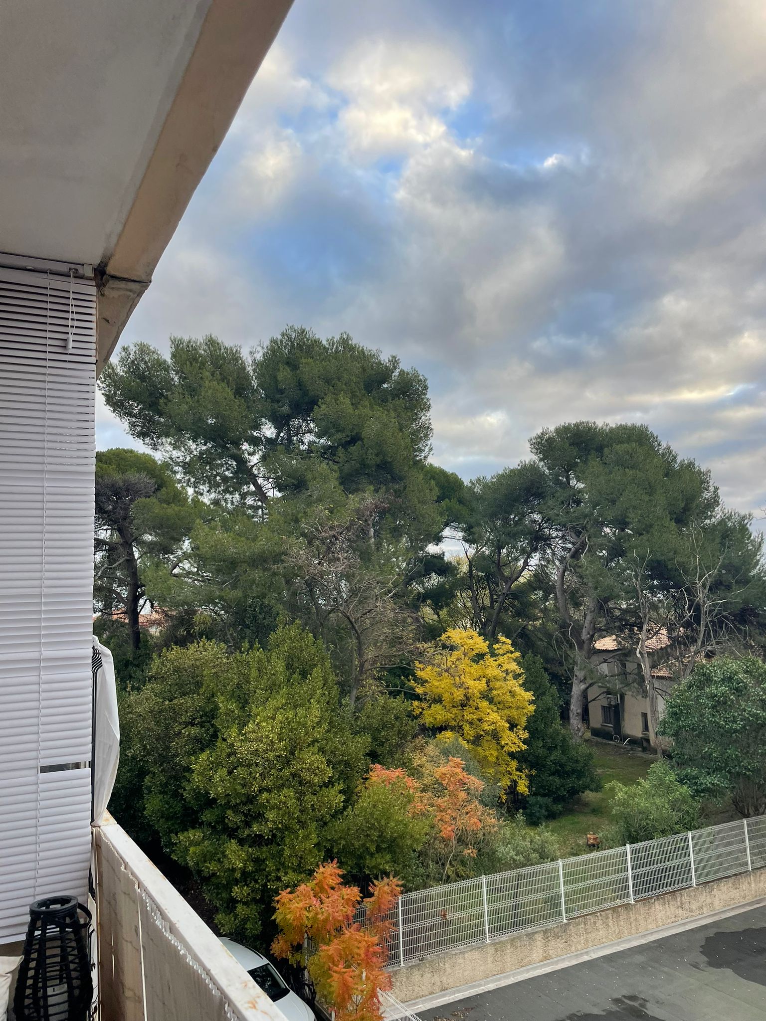 Colocation Montpellier 646922