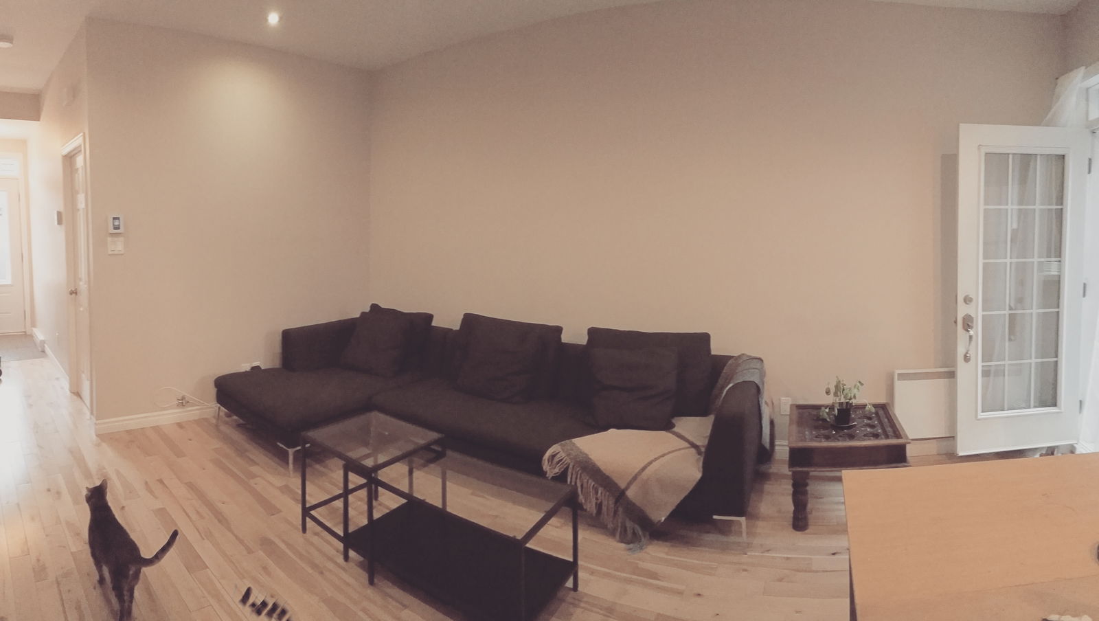 Colocation Montréal 135365