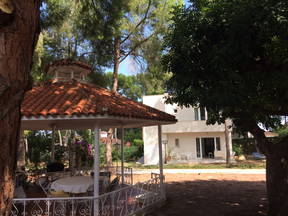 Lovely chalet in quiet surrounding near Valencia