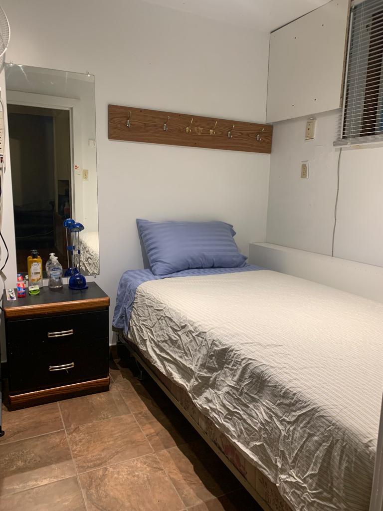 Kolokasie Montréal 665602