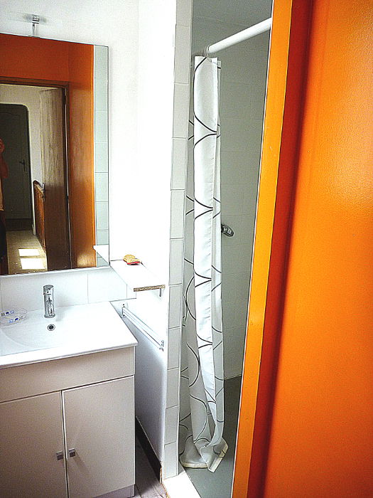 Colocatie Albi 110829