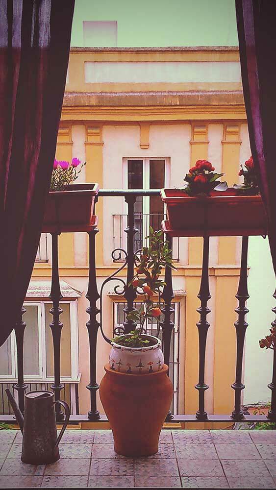 Gastgezin Sevilla 234198