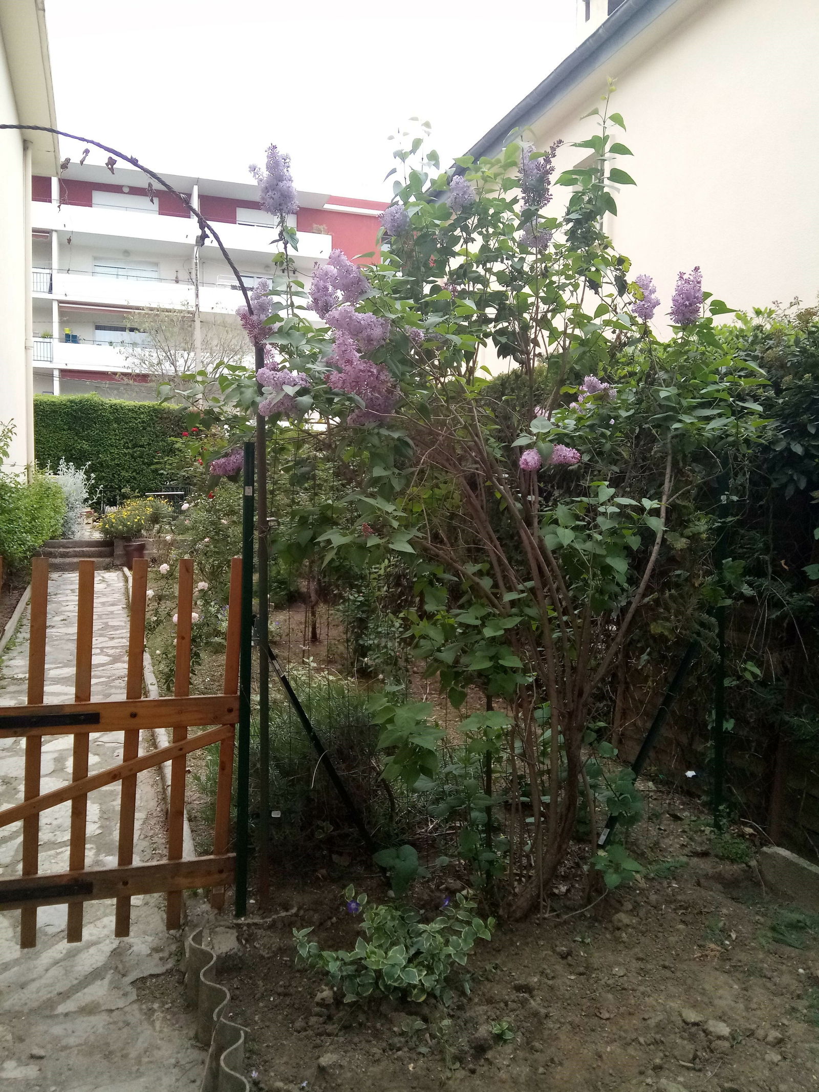 Colocação Montpellier 223635