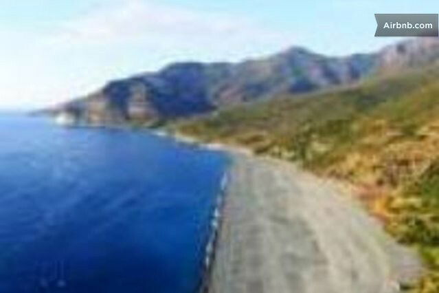 Estúdio Independente Borgo 25843