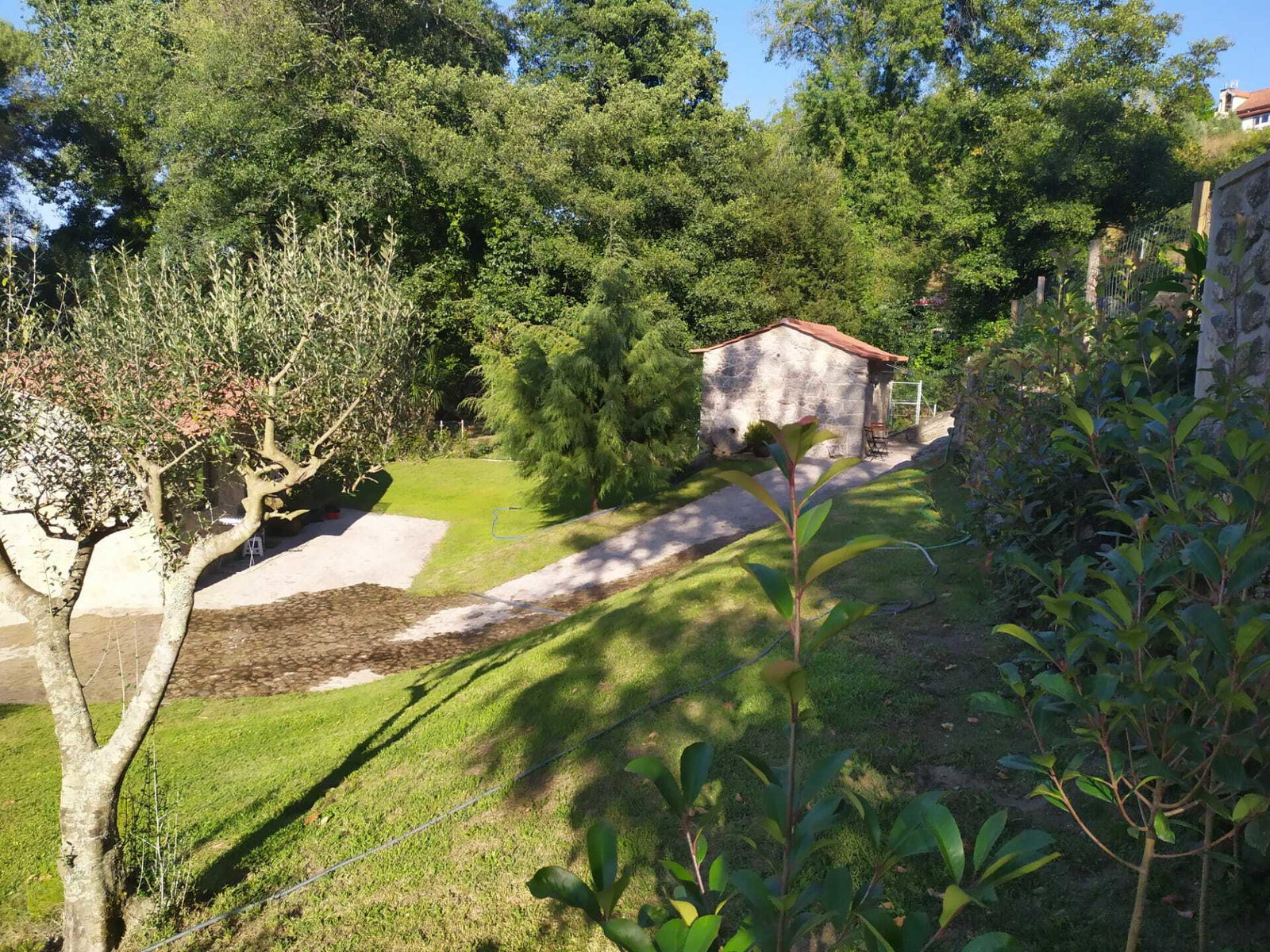 Toda La Casa Viana do Castelo 254487