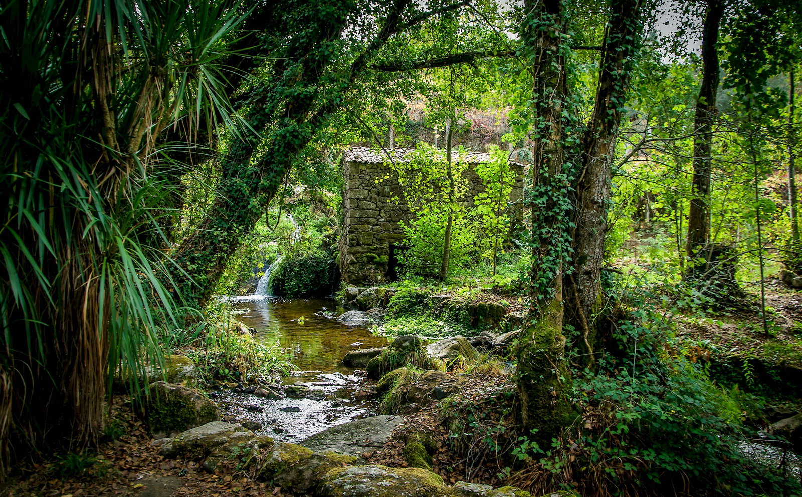 Toda La Casa Viana do Castelo 258838