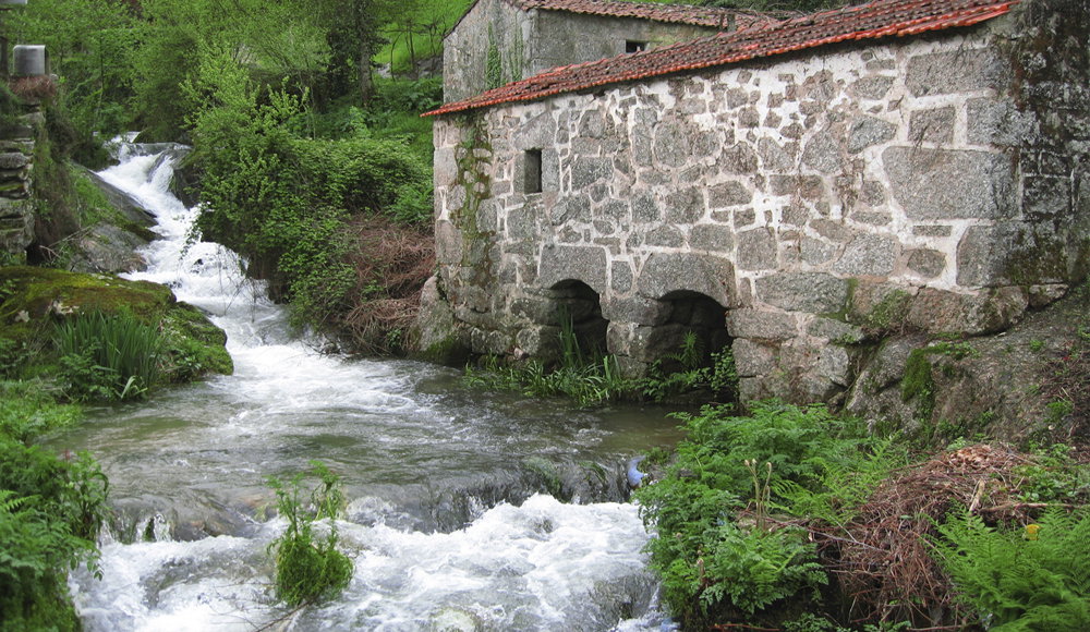 Toda La Casa Viana do Castelo 258838