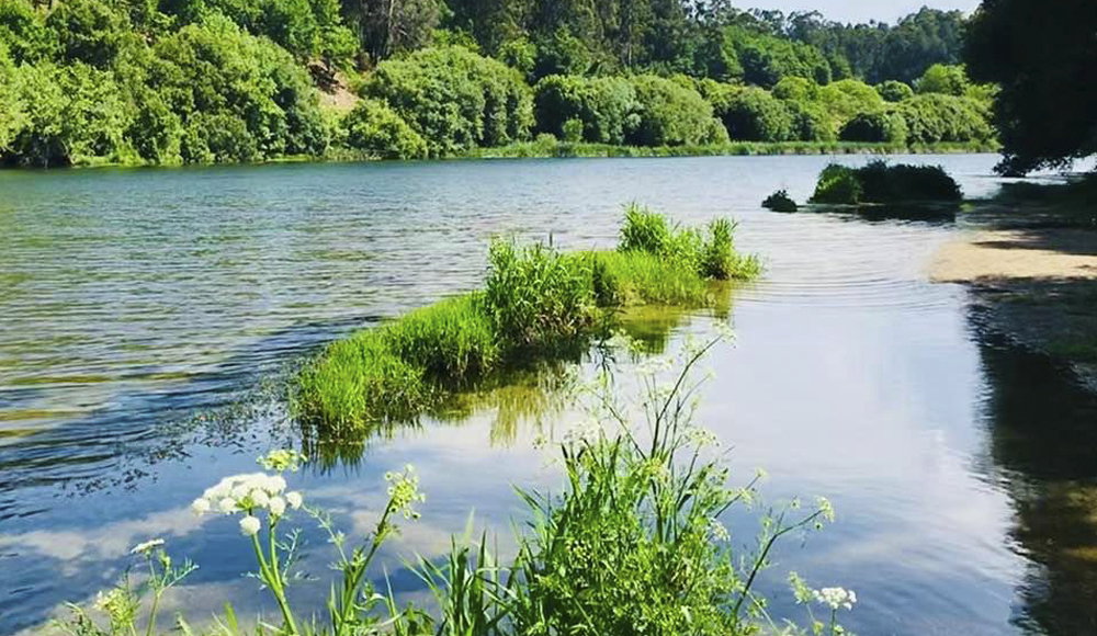 Toda La Casa Viana do Castelo 258838