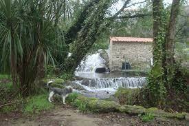 Toda La Casa Viana do Castelo 258838