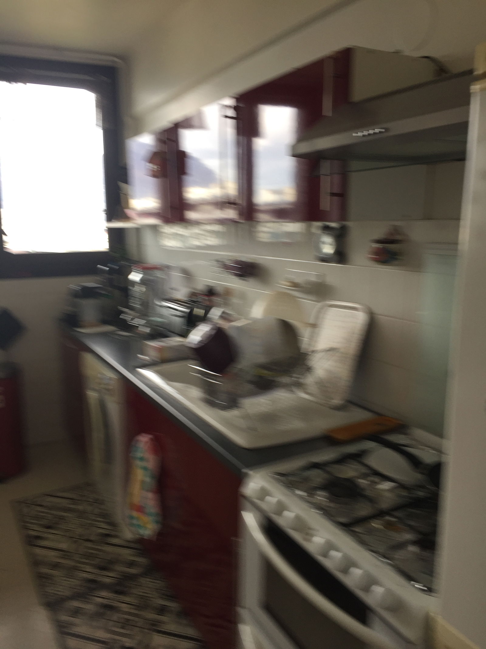 Homestay Grenoble 233080