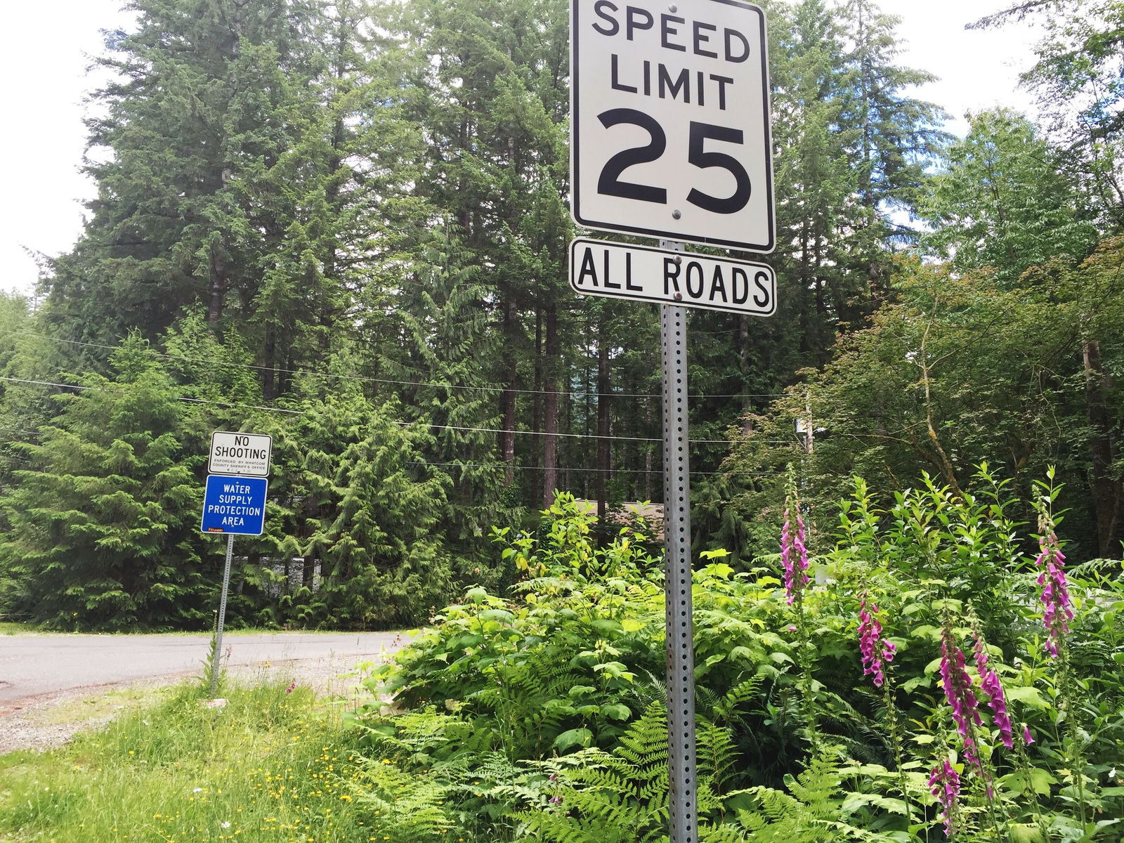 Tutta La Casa Deming 172200