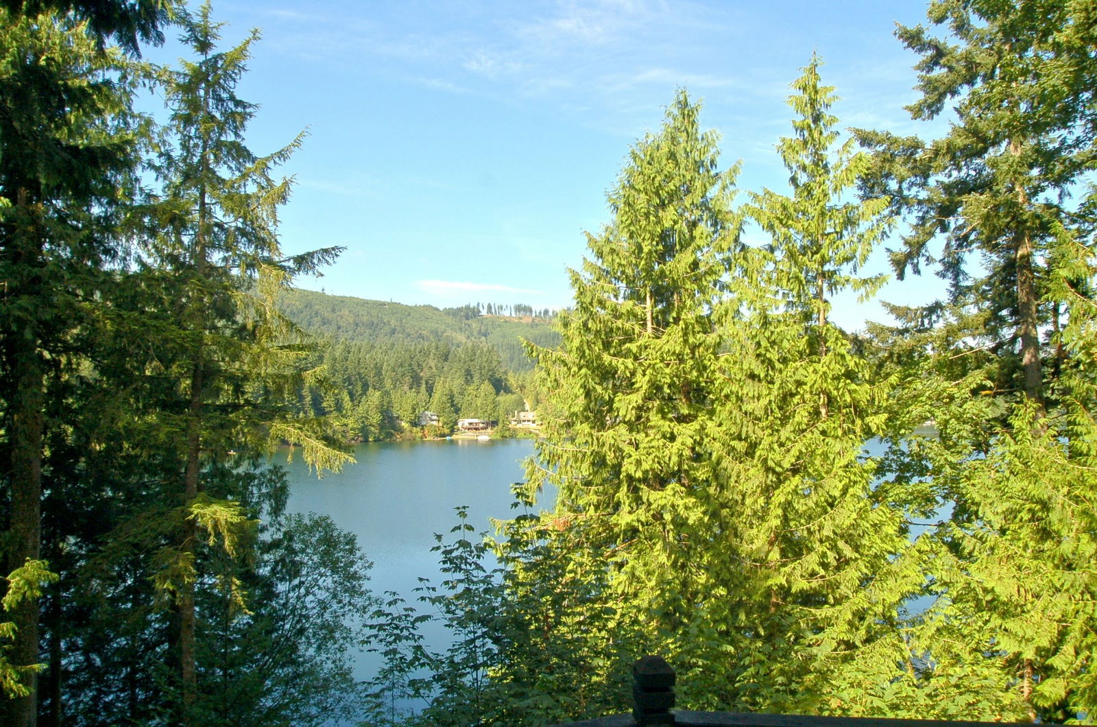 Studio Indépendant Maple Falls 172201