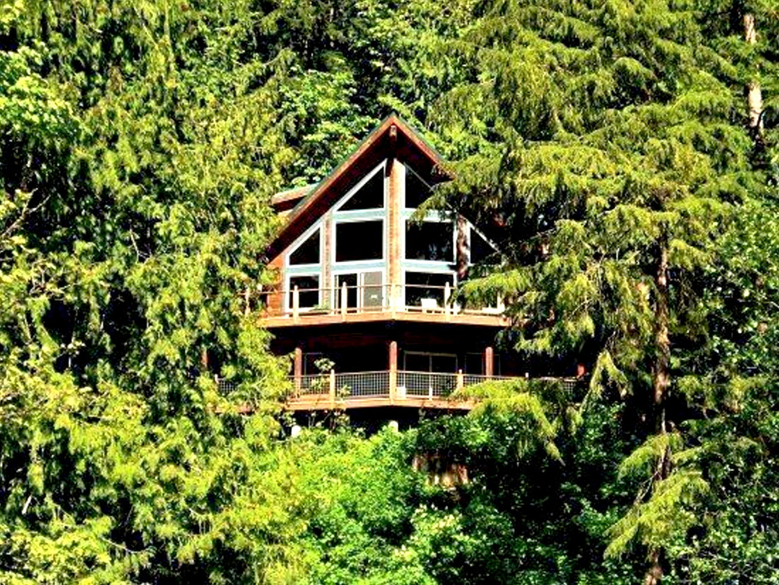 Estudio Independiente Maple Falls 172201
