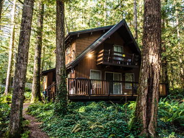 Entire Home Deming 172291-12