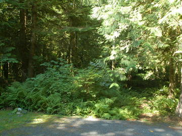 Logement Entier Maple Falls 172187-9