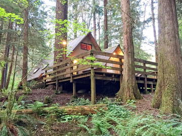 Toda La Casa Deming 173204-12