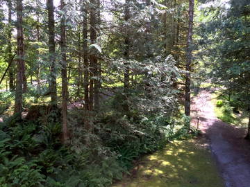 Toda La Casa Deming 173203-12