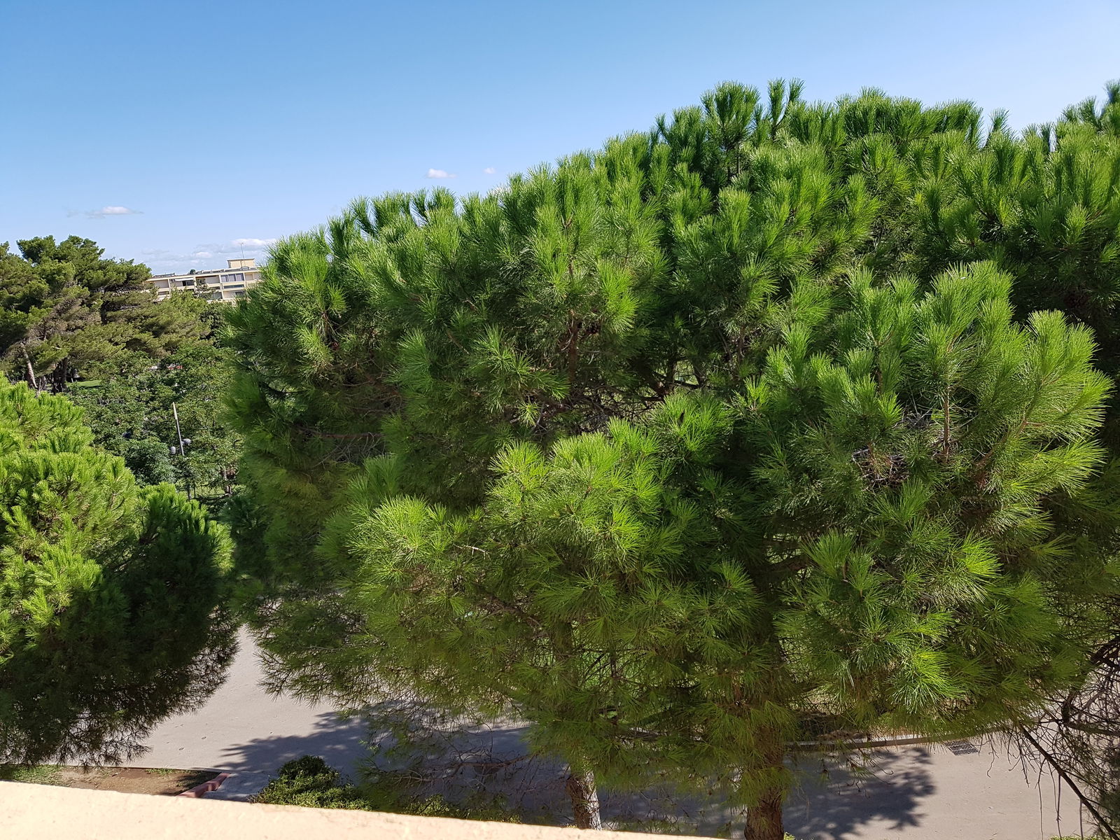 Hospedagem Em Casa De Família Balaruc-les-Bains 181444