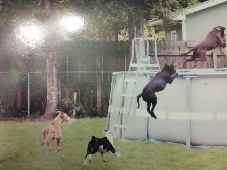 Homestay Ocean Springs 166189-2