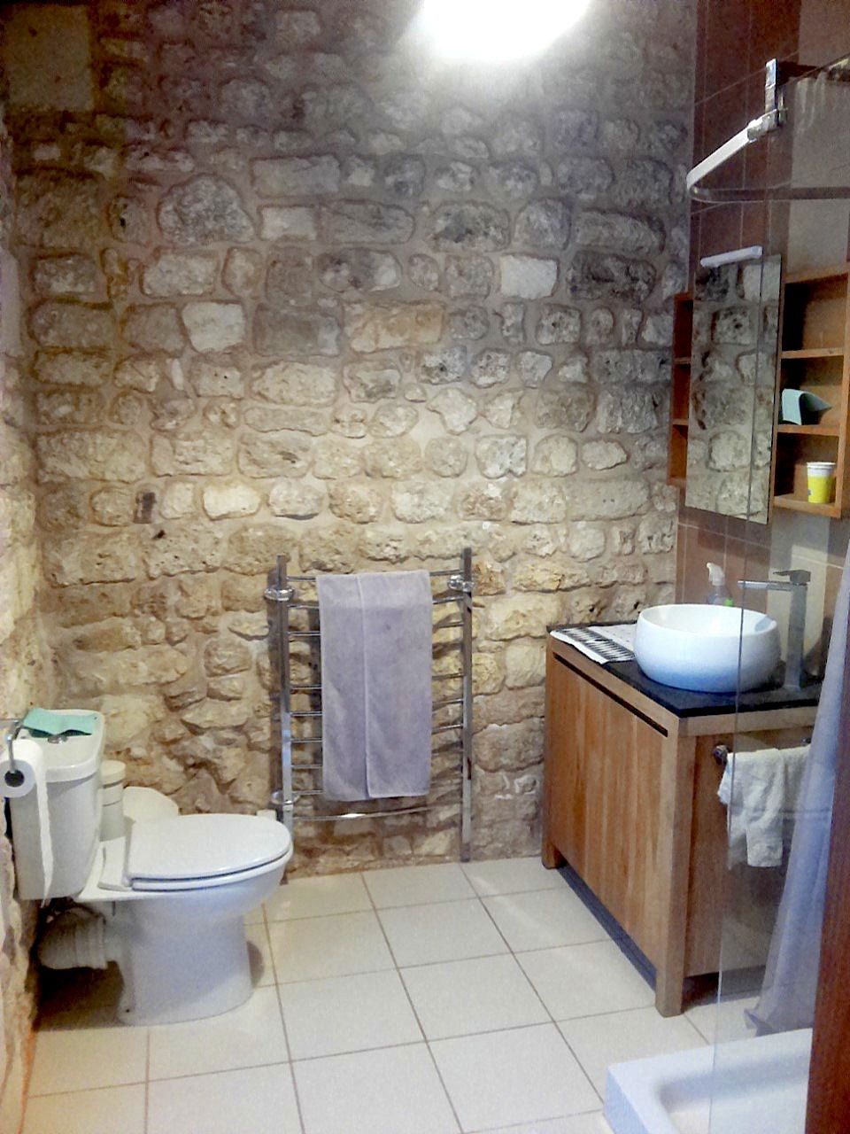 Habitaciones De Huéspedes Saint-Savinien 431468