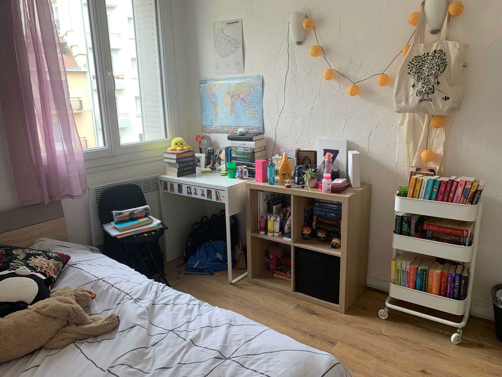 Colocación Grenoble 247366