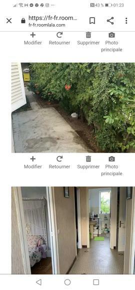 Colocación Lyon 248580