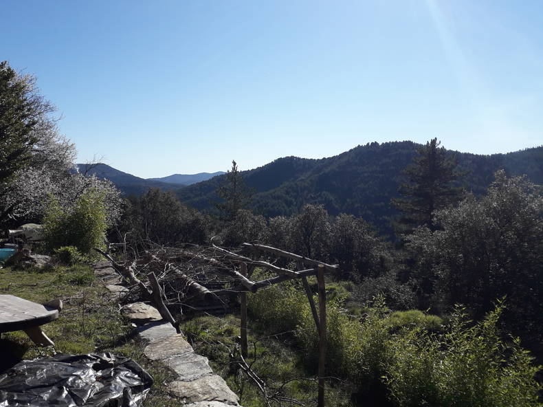 Gastgezin Vialas 234818-5