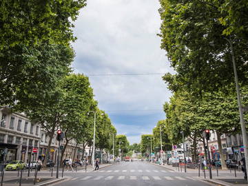 Chambre Chez L'habitant Lyon 363267-11