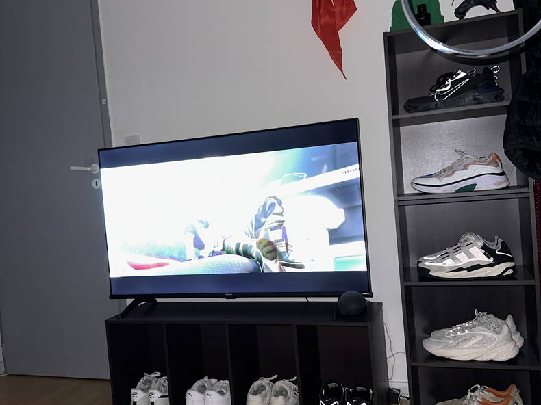 Gastfamilie Tarbes 321382-1