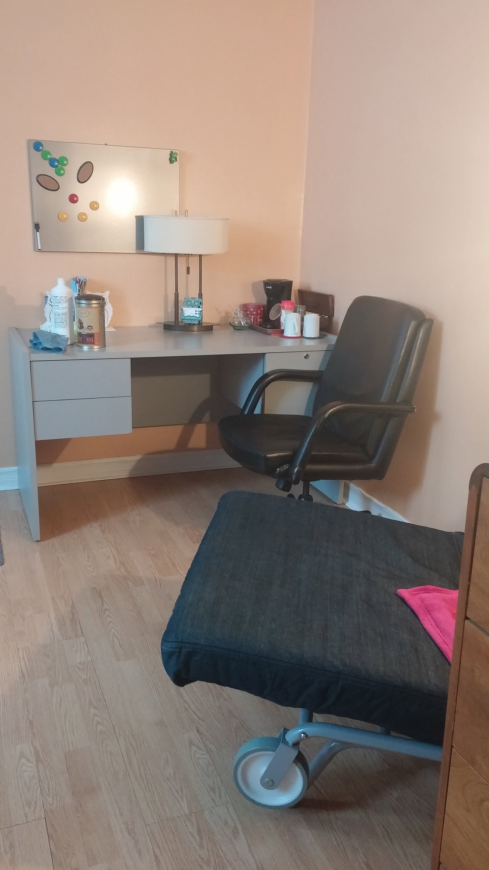 Colocation Ville de Québec 162834