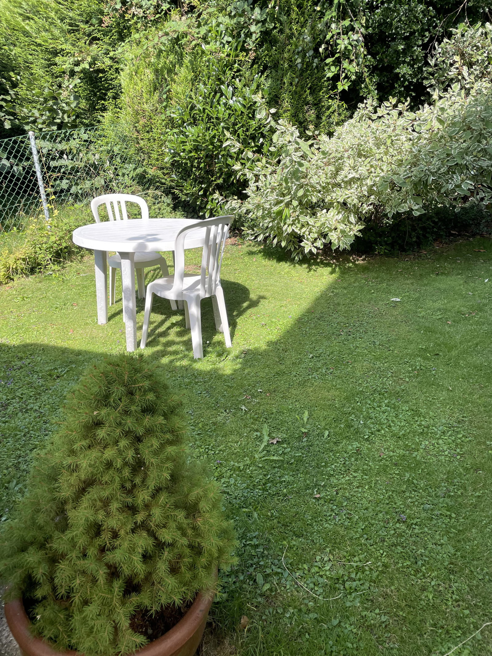 Hemvistelse Assens 528751