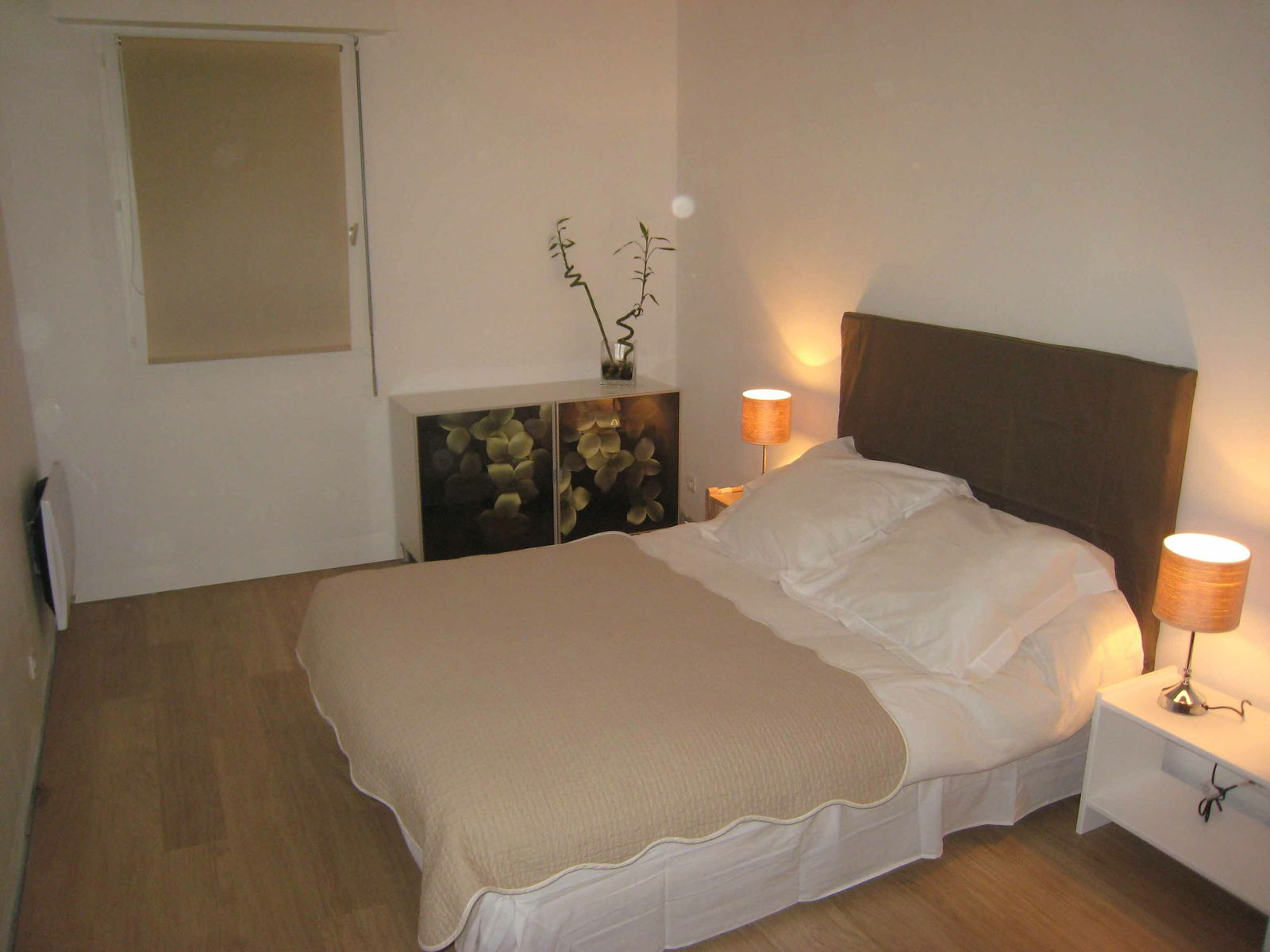 Colocation Lyon 248023