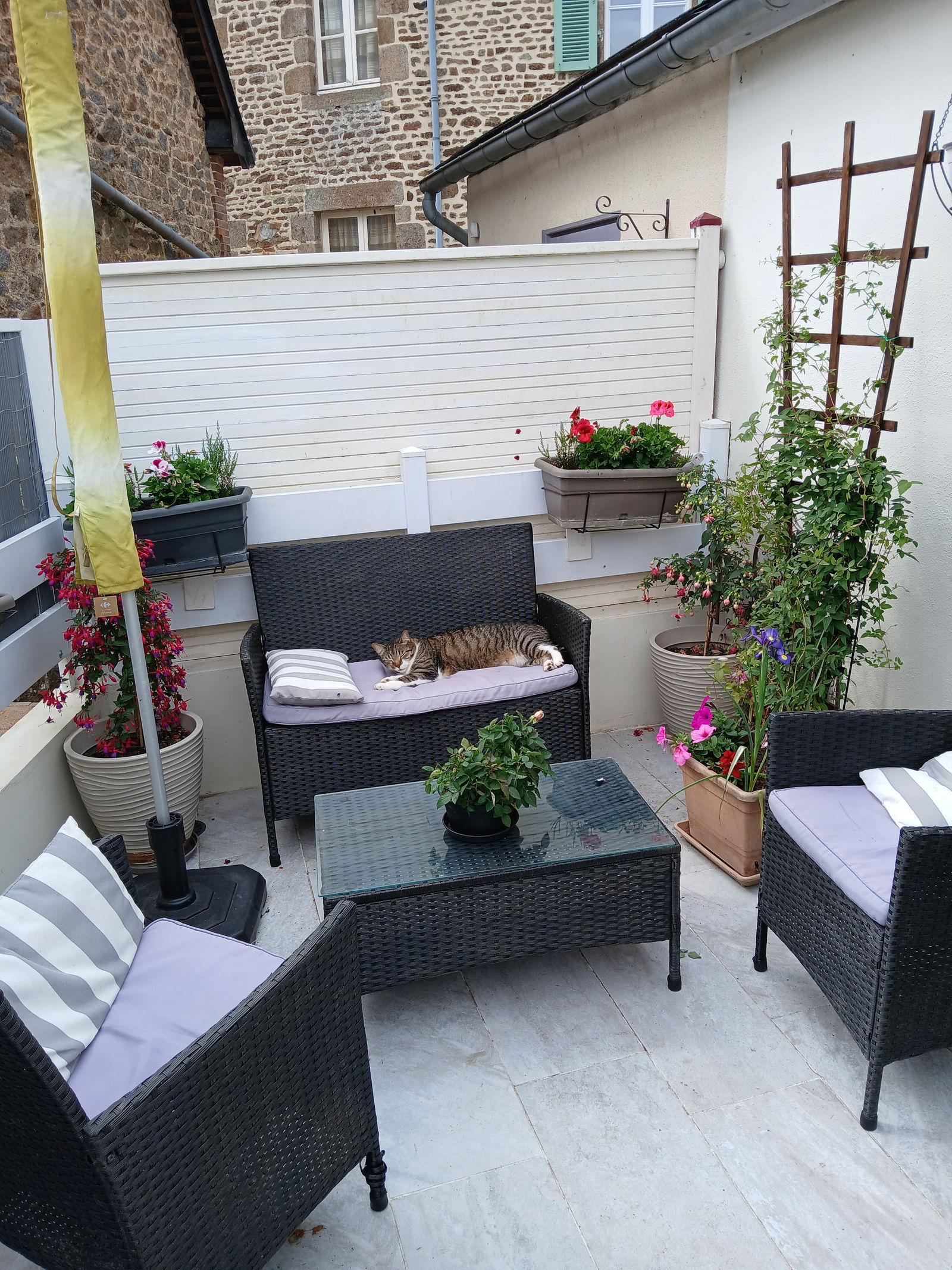 Hemvistelse Gorron 573730