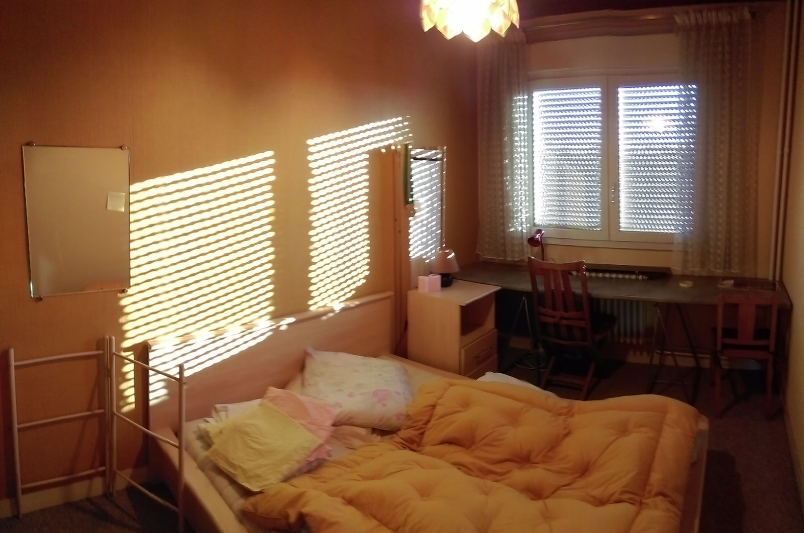 Kolokasie Nancy 128916