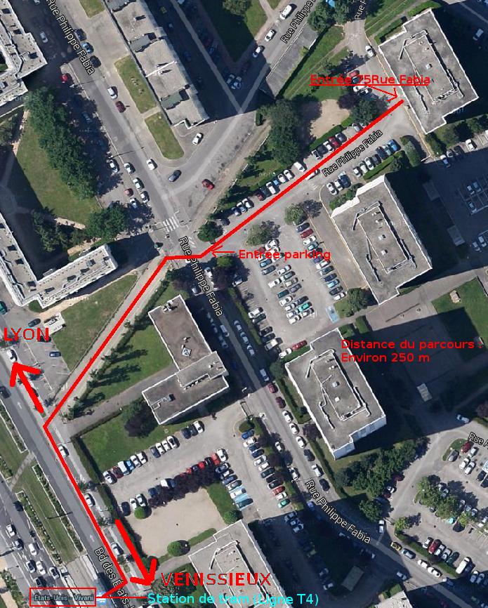 Kolokasie Lyon 351685