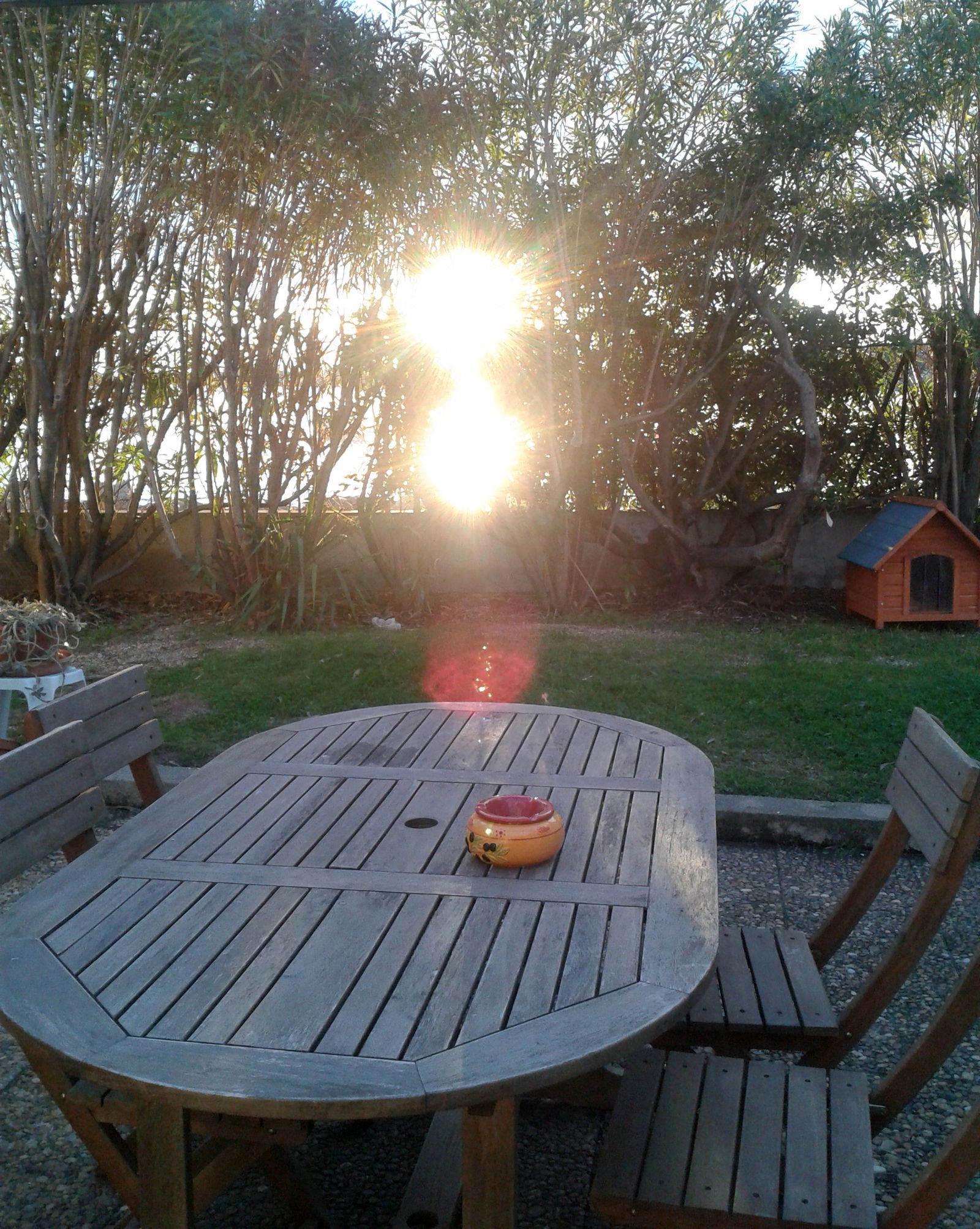 Kolokasie Sète 149194