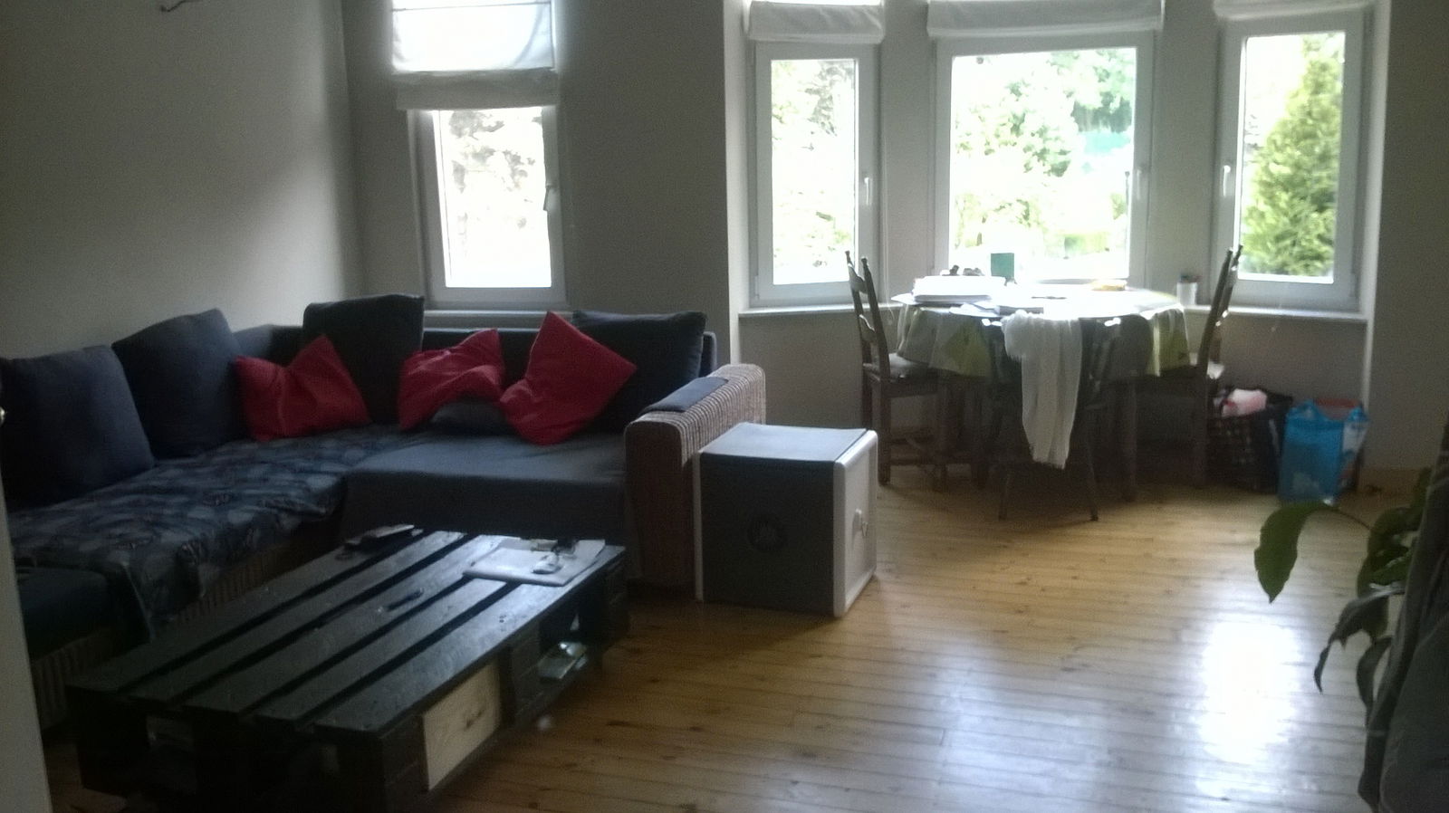 Kolokasie Schaerbeek 104346