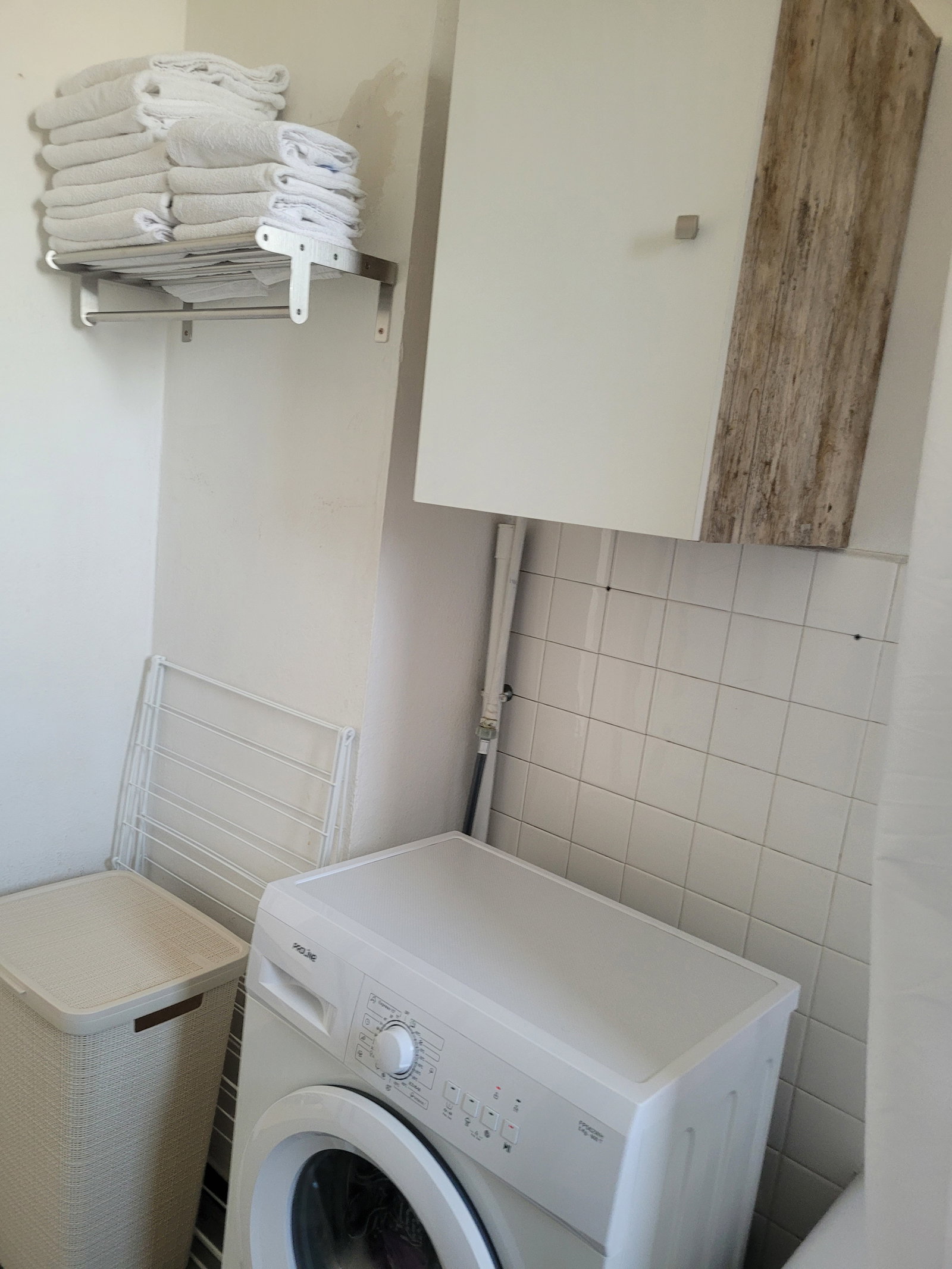 Kolokasie Ambilly 474809