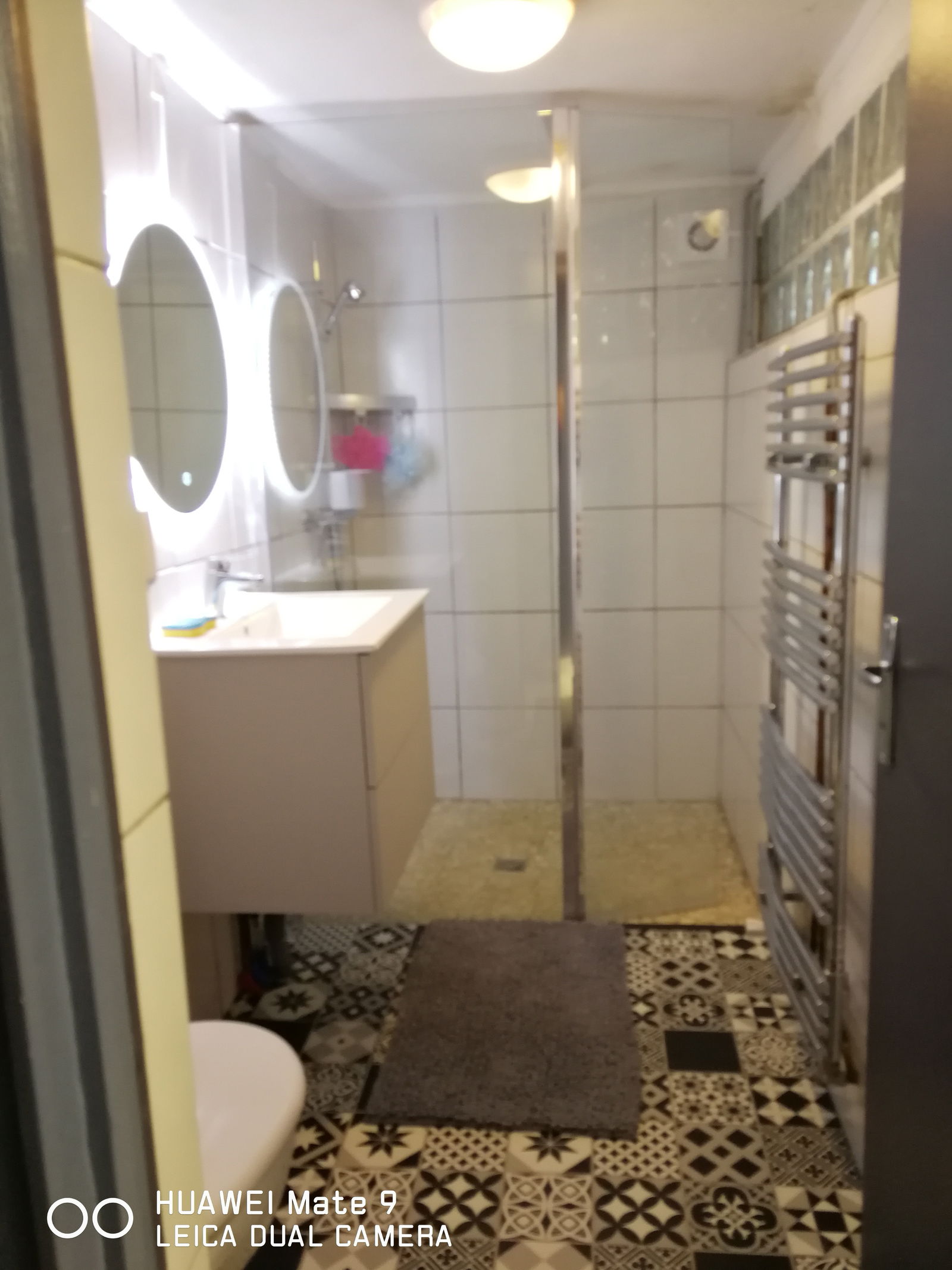 Kolokasie Niort 251114