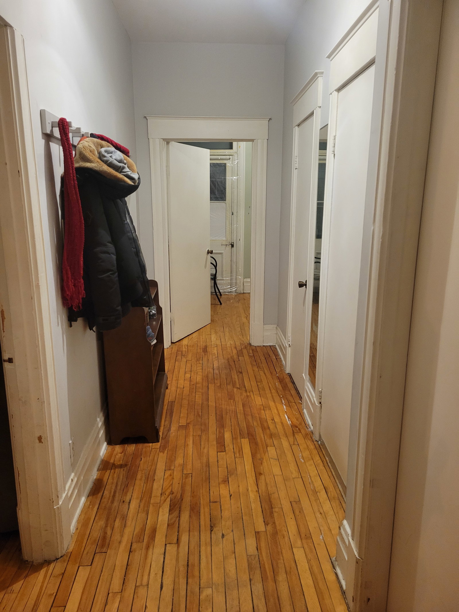 Kolokasie Montréal 659905