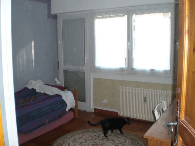 Kolokasie Chambery 3616