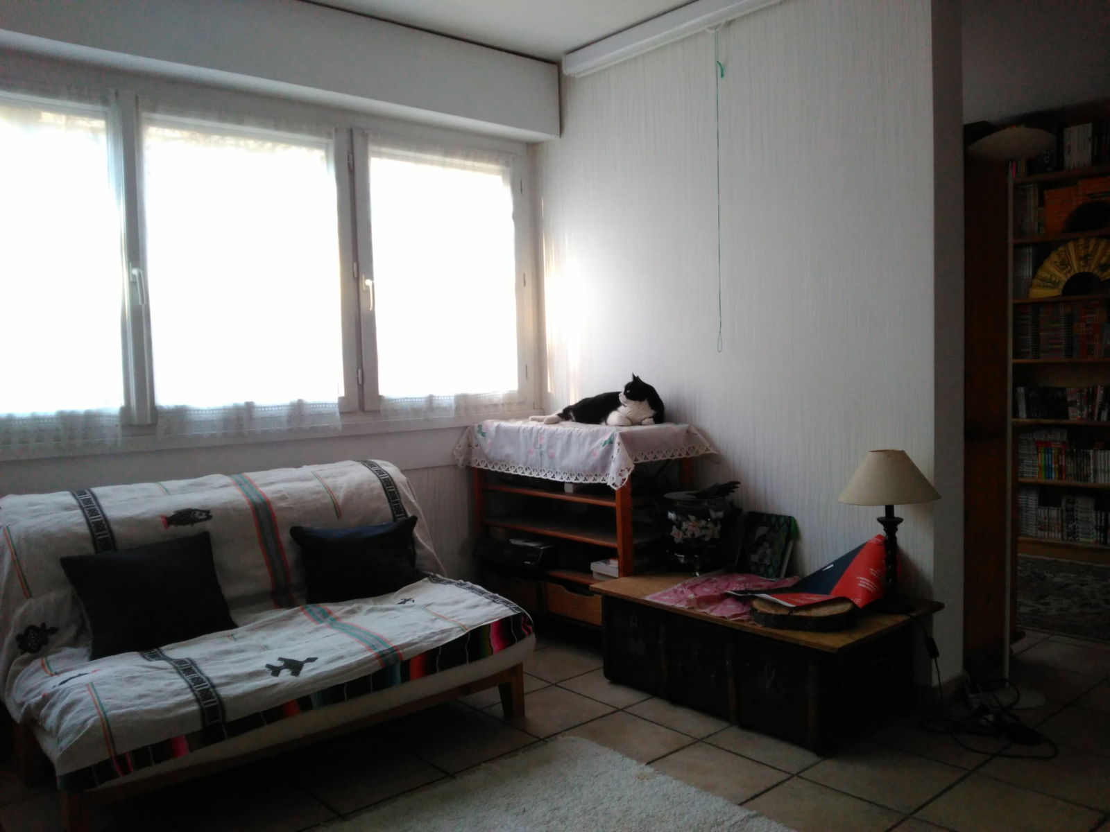 Kolokasie Chambery 3616