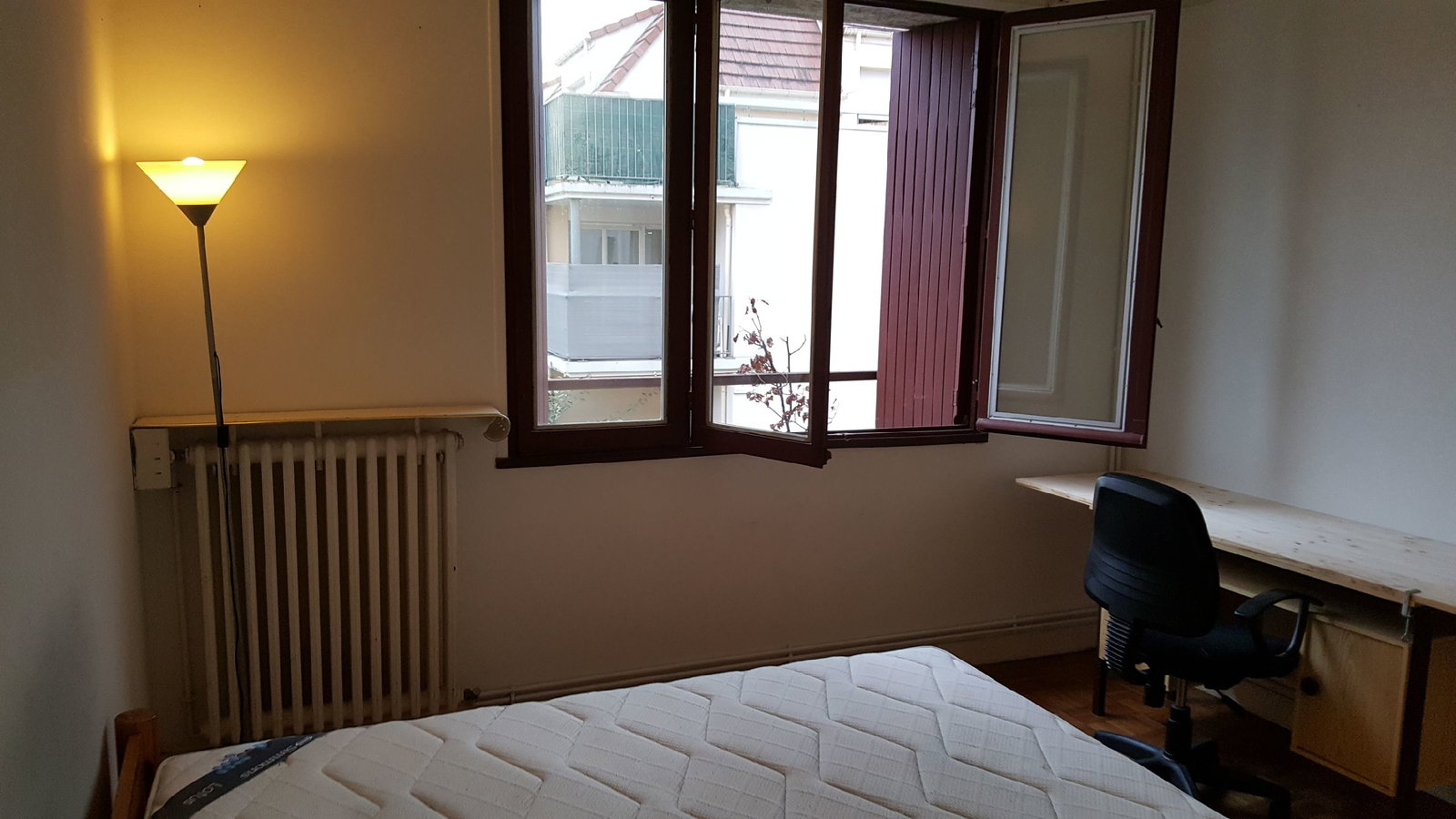 Kolokasie Ivry-sur-Seine 660015