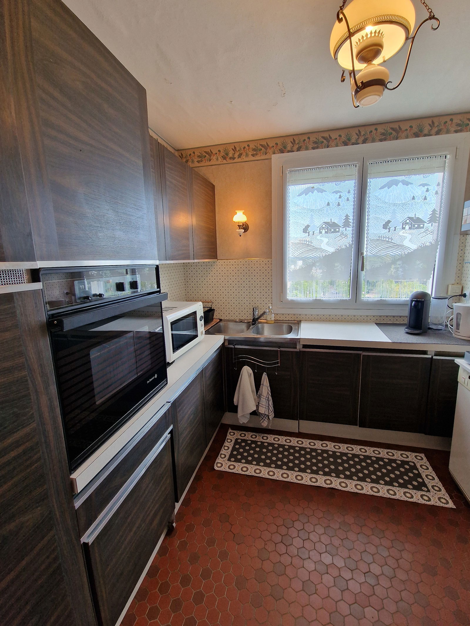 Kolokasie Orléans 657651