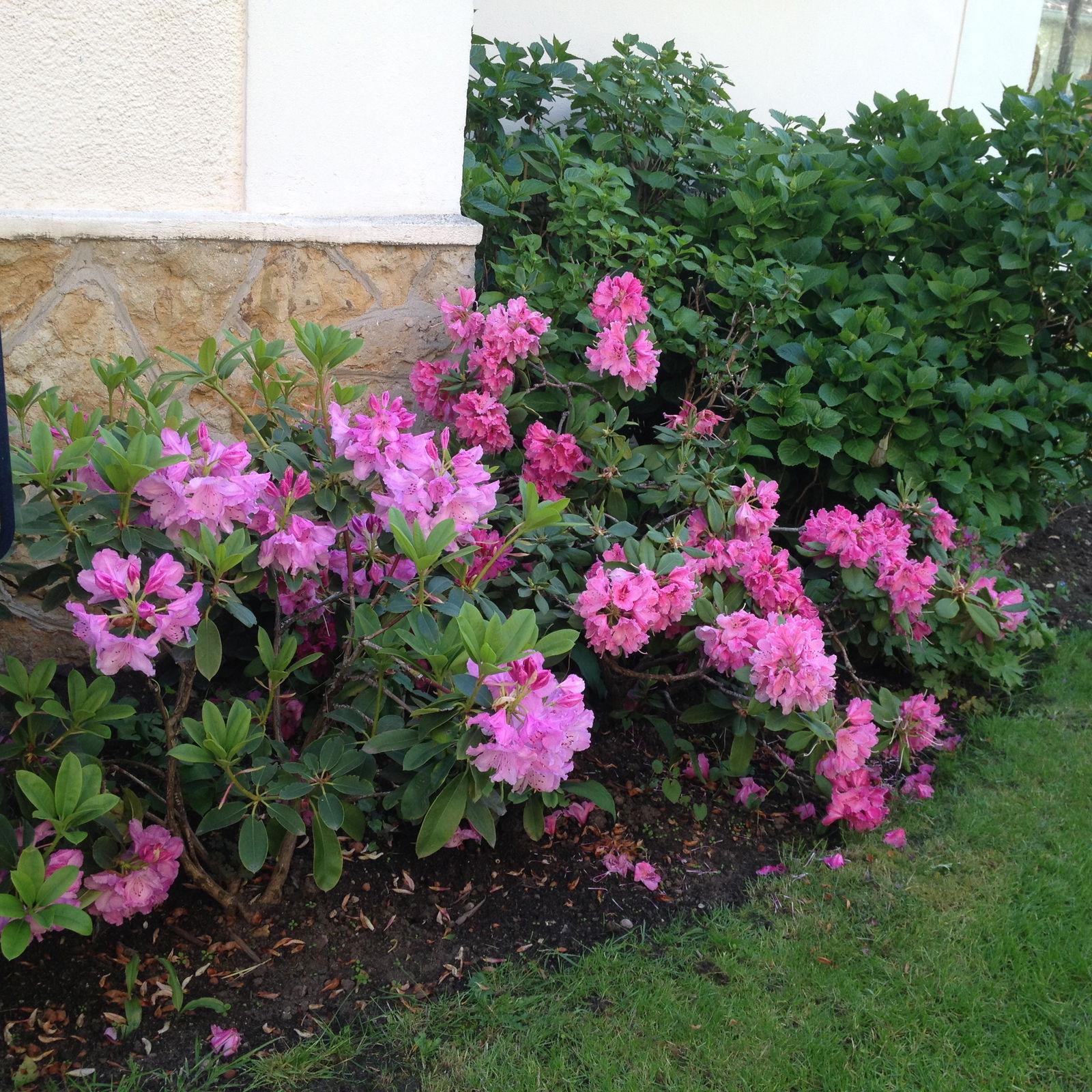 Homestay Nancy 18185