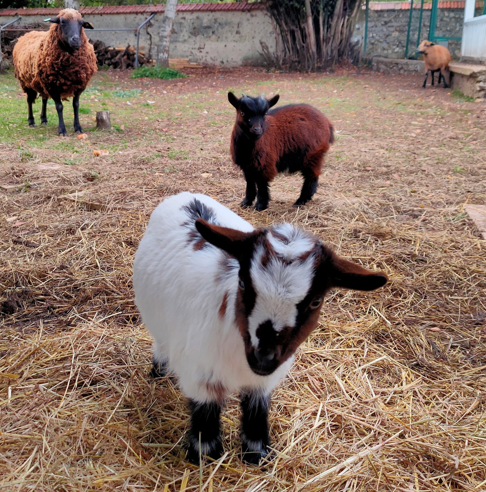 Casa Inteira La Couture-Boussey 10372